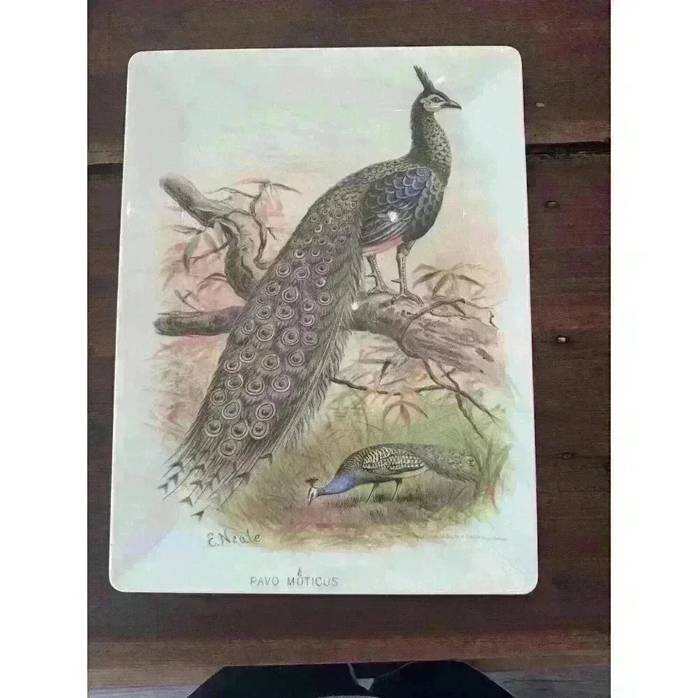VTG‎ Pottery Barn Peacock Tray Pavo Muticus E Neale Melamine 16